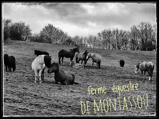 Ferme Équestre de Montassou