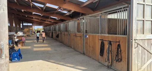 Earl Yebleron Equitation