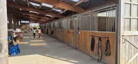 Earl Yebleron Equitation