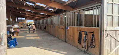 Earl Yebleron Equitation