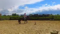 Country Pony Ranch