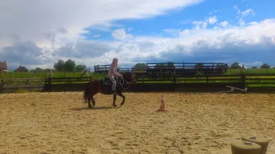 Country Pony Ranch