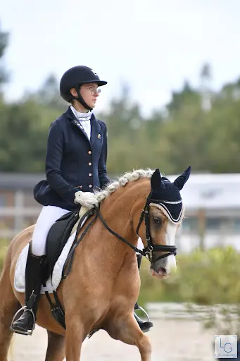 Poneys de Dressage Mt