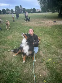 Pierre Artdog Educateur Dressage Comportementalise Canin