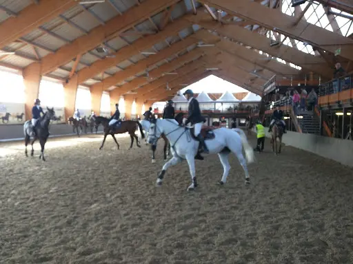 Pôle Européen du Cheval
