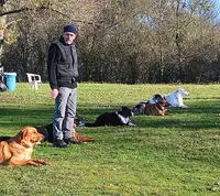 Club d'Education Canine de Moulins-yzeure-avermes