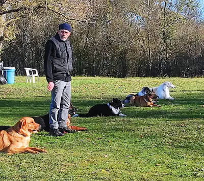 Club d'Education Canine de Moulins-yzeure-avermes