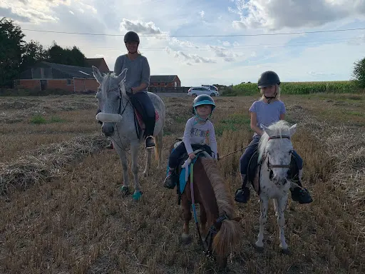 Aux Petits Poneys de Zermezeele