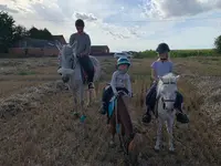 Aux Petits Poneys de Zermezeele