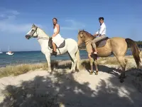 Country Horse