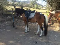 Ranch Villata