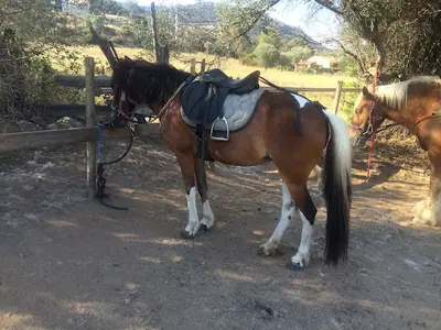 Ranch Villata